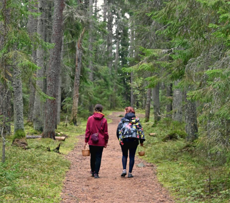 Excursiones desde Tallin en español para grupo privado