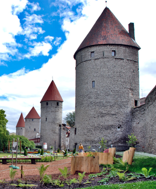 Muralla medieval - Tour a pie por el casco histórico de Tallin