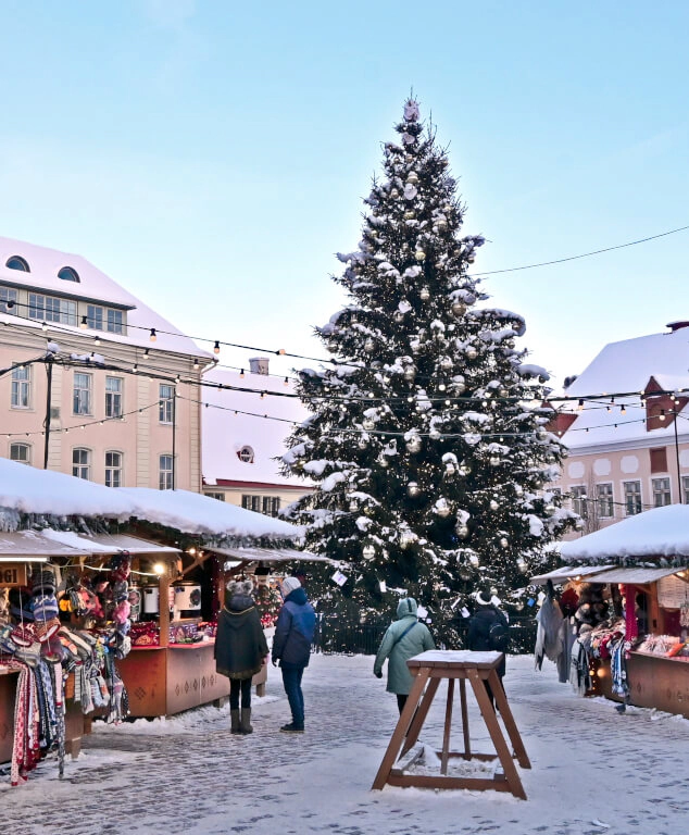 Mercadillo Navidad Tallin H